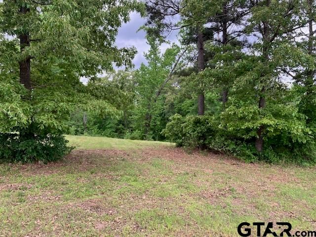 TBD Ridgeline Loop Lot 92, Winona, TX 75792