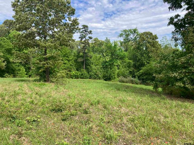 TBD Ridgeline Loop Lot 92, Winona, TX 75792
