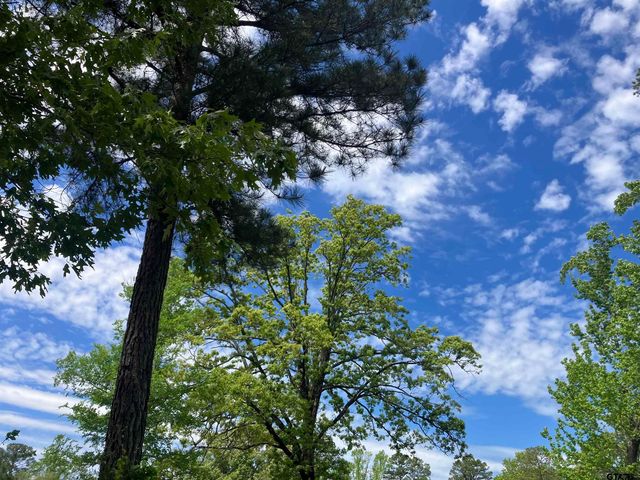 TBD Ridgeline Loop Lot 92, Winona, TX 75792