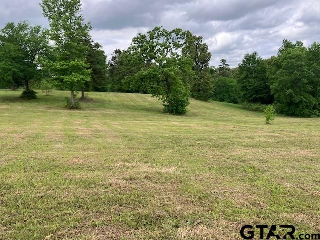 TBD Ridgeline Loop Lot 92, Winona, TX 75792
