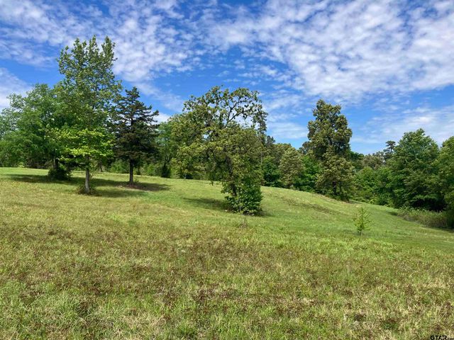 TBD Ridgeline Loop Lot 92, Winona, TX 75792