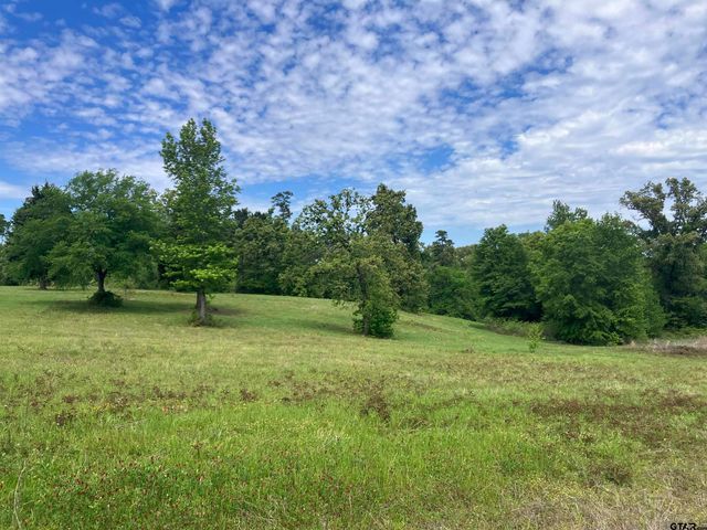 TBD Ridgeline Loop Lot 92, Winona, TX 75792
