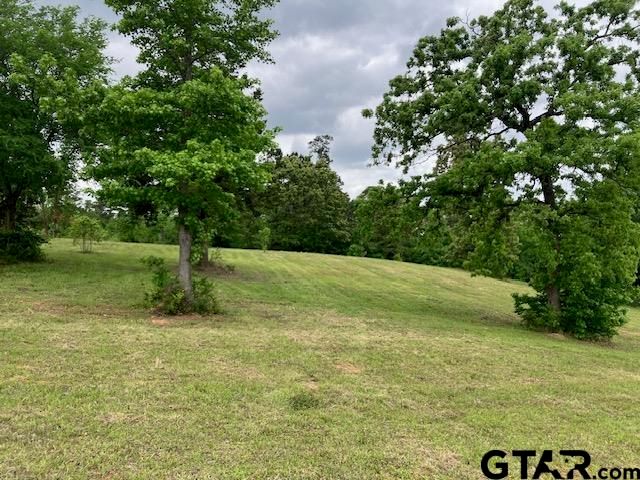 TBD Ridgeline Loop Lot 92, Winona, TX 75792
