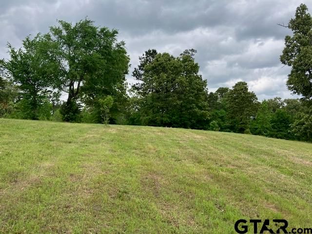 TBD Ridgeline Loop Lot 92, Winona, TX 75792