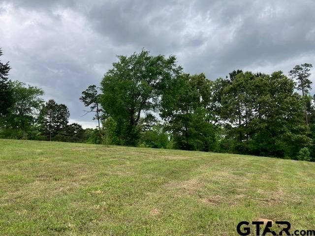 TBD Ridgeline Loop Lot 92, Winona, TX 75792