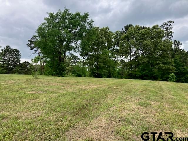 TBD Ridgeline Loop Lot 92, Winona, TX 75792