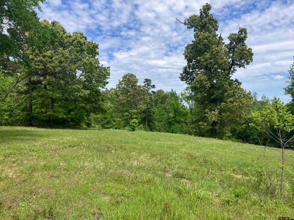 TBD Ridgeline Loop Lot 92, Winona, TX 75792