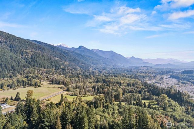 31603 554th Street Ct E, Ashford, WA 98304