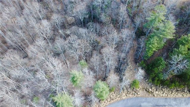 TBD Lot 17 Chestnut Falls Drive, Millers Creek, NC 28651