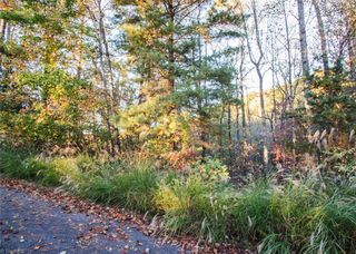 TBD Lot 17 Chestnut Falls Drive, Millers Creek, NC 28651