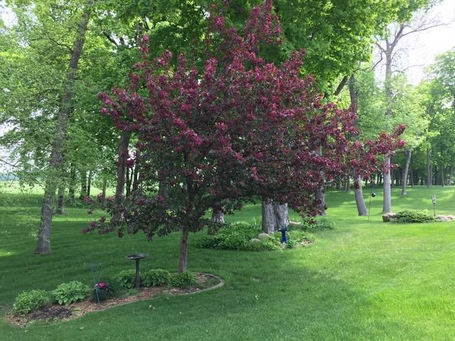 3909 Geneva Golf Club Drive NE, Alexandria, MN 56308