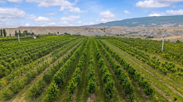 20809 Nowhere Road, Eckert, CO 81418