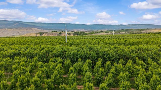 20809 Nowhere Road, Eckert, CO 81418