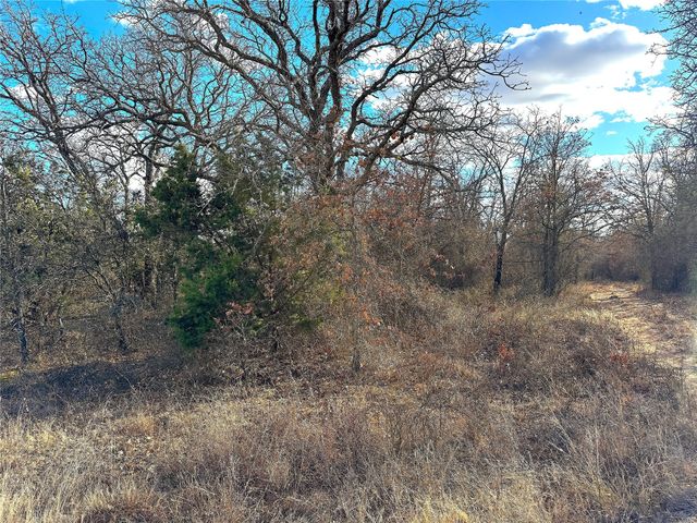 TBD Turpin Lake Road, Poolville, TX 76487