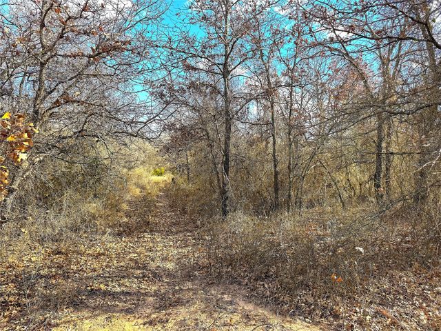 TBD Turpin Lake Road, Poolville, TX 76487