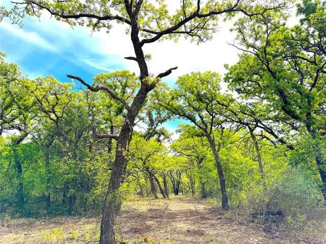 TBD Turpin Lake Road, Poolville, TX 76487