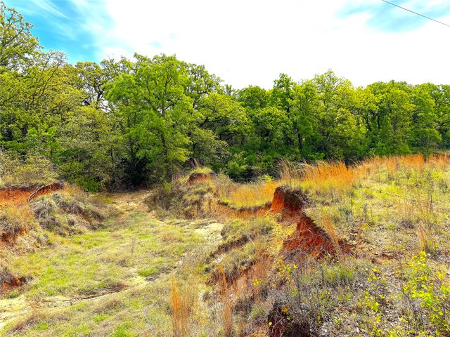 TBD Turpin Lake Road, Poolville, TX 76487