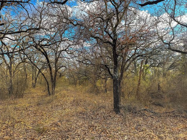 TBD Turpin Lake Road, Poolville, TX 76487