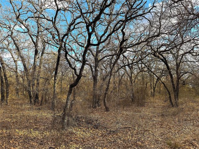 TBD Turpin Lake Road, Poolville, TX 76487