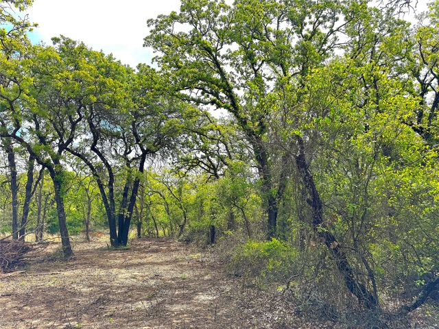 TBD Turpin Lake Road, Poolville, TX 76487