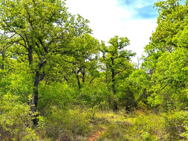 TBD Turpin Lake Road, Poolville, TX 76487