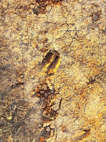 TBD Turpin Lake Road, Poolville, TX 76487