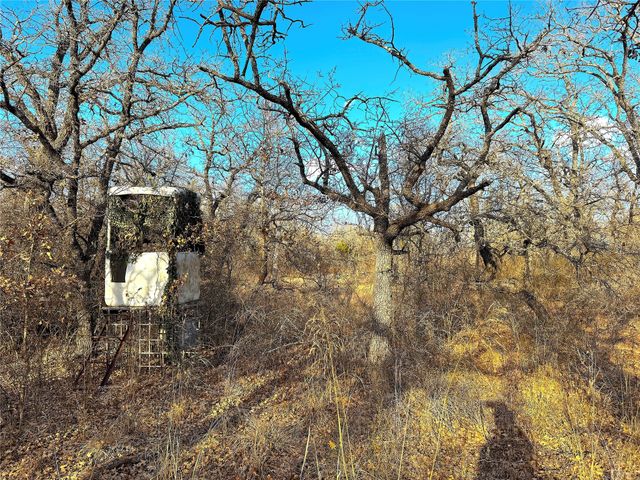 TBD Turpin Lake Road, Poolville, TX 76487