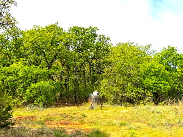 TBD Turpin Lake Road, Poolville, TX 76487