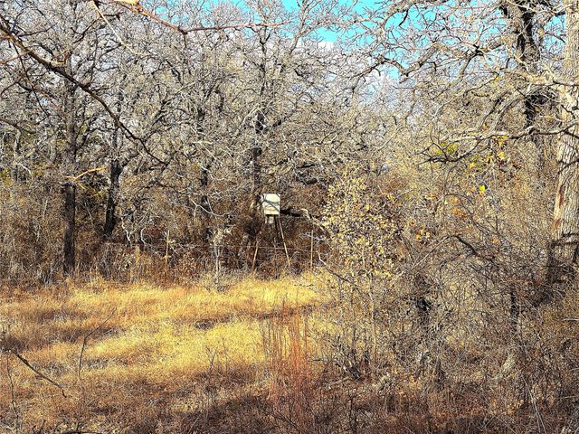 TBD Turpin Lake Road, Poolville, TX 76487