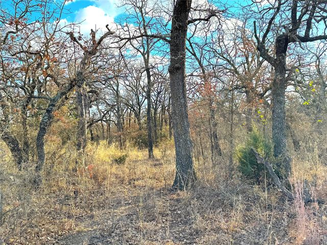 TBD Turpin Lake Road, Poolville, TX 76487