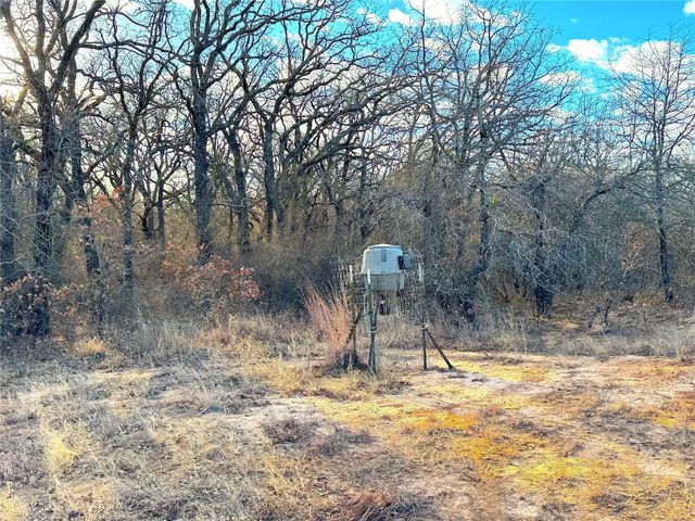 TBD Turpin Lake Road, Poolville, TX 76487