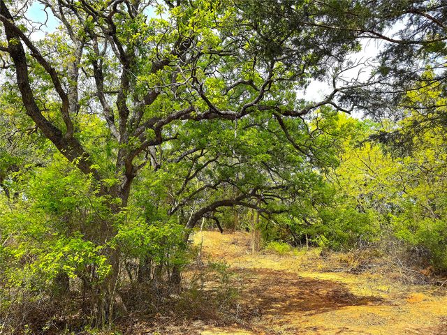 TBD Turpin Lake Road, Poolville, TX 76487