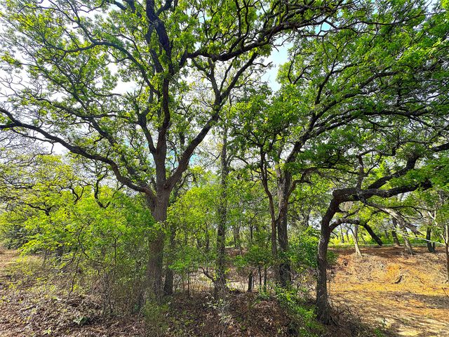 TBD Turpin Lake Road, Poolville, TX 76487