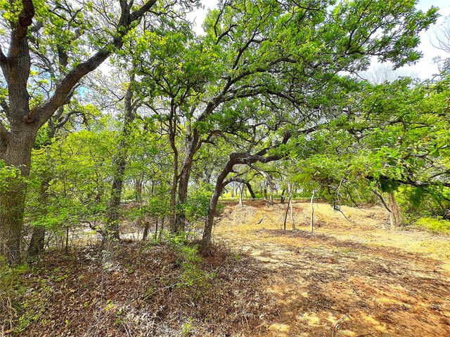 TBD Turpin Lake Road, Poolville, TX 76487