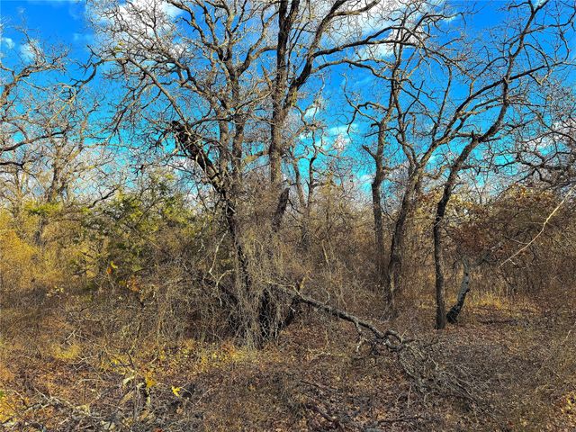 TBD Turpin Lake Road, Poolville, TX 76487