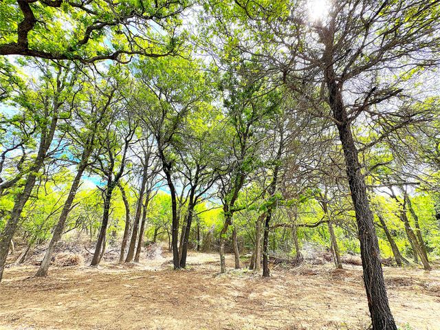 TBD Turpin Lake Road, Poolville, TX 76487