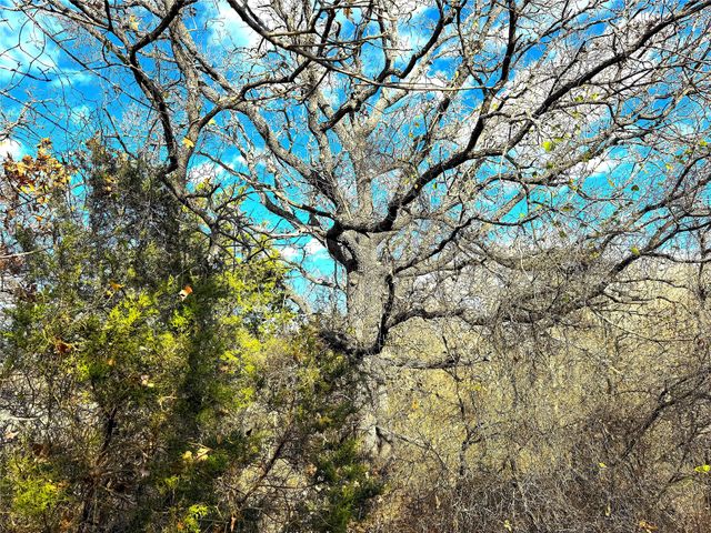 TBD Turpin Lake Road, Poolville, TX 76487