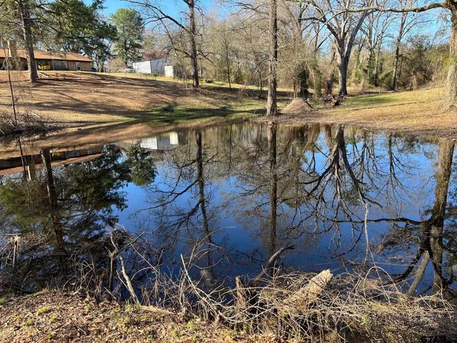 564 CR 1100, Daingerfield, TX 75638