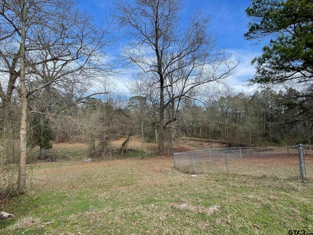 564 CR 1100, Daingerfield, TX 75638