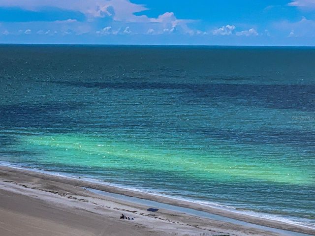 1290 GULF BOULEVARD 2004, Clearwater Beach, FL 33767