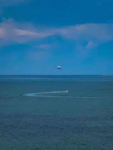 1290 GULF BOULEVARD 2004, Clearwater Beach, FL 33767