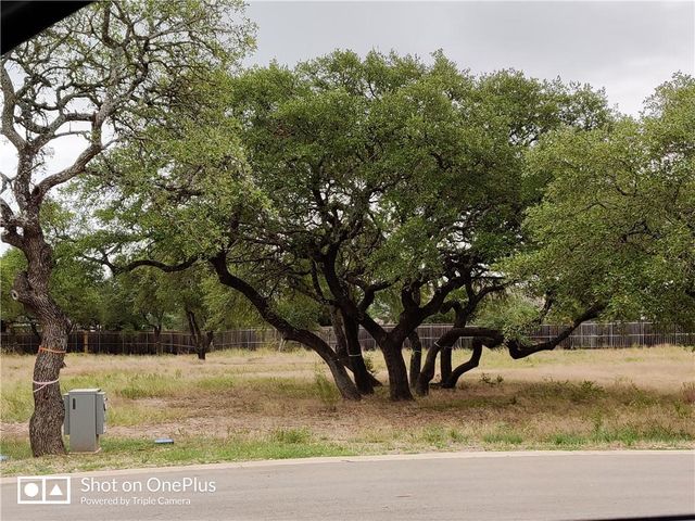 410 Whisenant LN, Dripping Springs, TX 78620