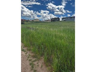 1298 Will Scarlet Dr, Divide, CO 80814