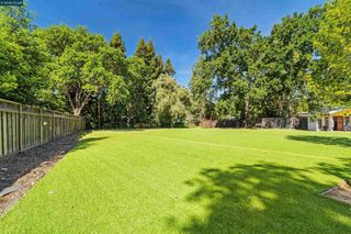 81 N Jackson Way, Alamo, CA 94507