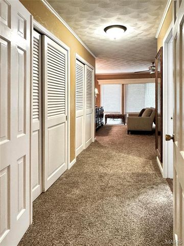 12103 Pike 9162, Louisiana, MO 63353