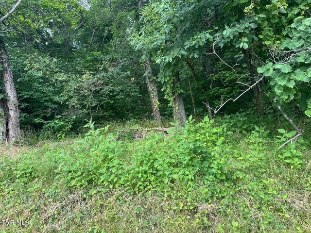 Tbd Flora Road, Rogersville, TN 37857