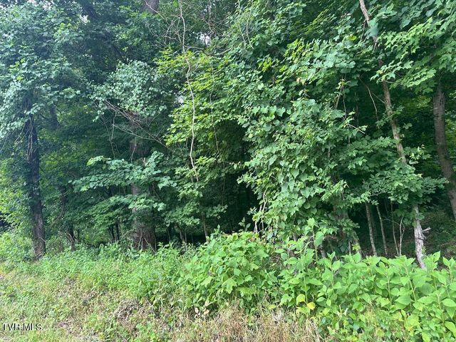 Tbd Flora Road, Rogersville, TN 37857