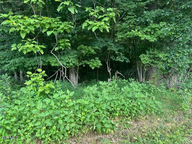 Tbd Flora Road, Rogersville, TN 37857