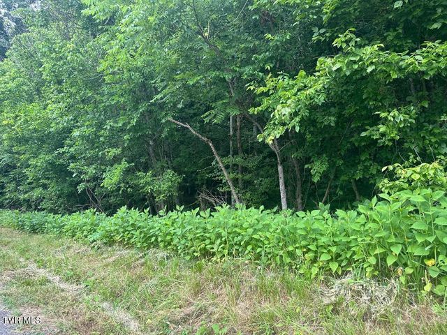 Tbd Flora Road, Rogersville, TN 37857