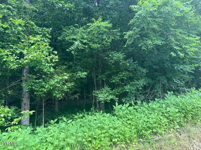Tbd Flora Road, Rogersville, TN 37857